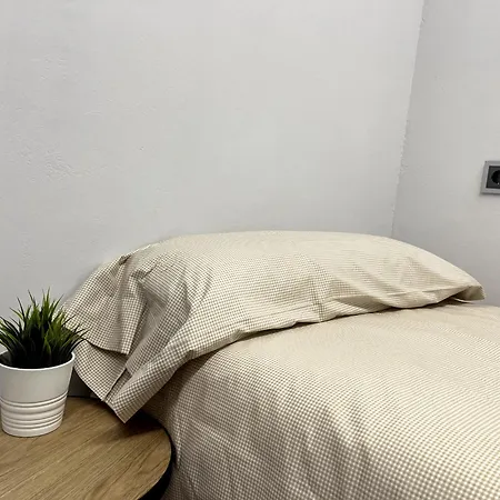 Baladrias Centro - Recien Reformado Appartement